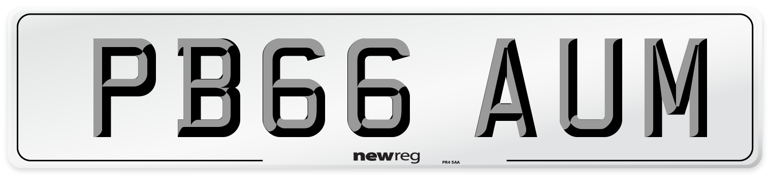 PB66 AUM Number Plate from New Reg